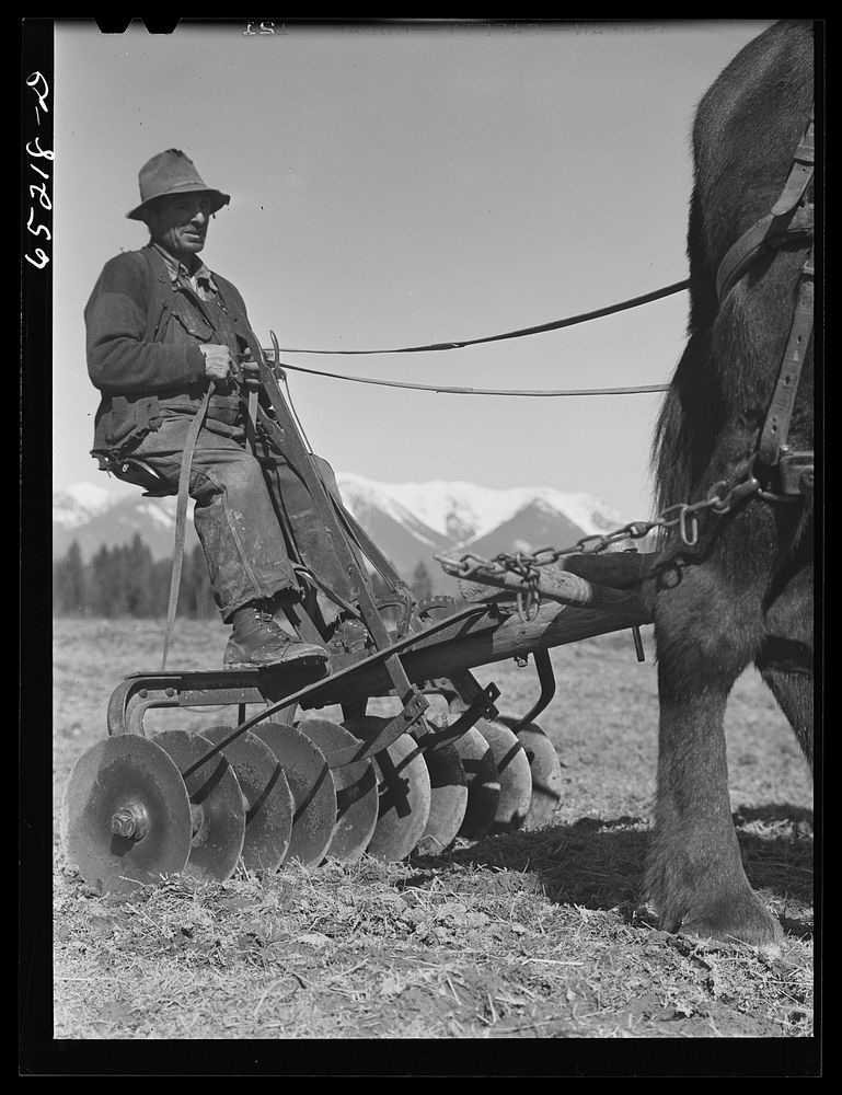 [Untitled photo, possibly related to: Flathead valley special area project, Montana. Mr. Ballinger, FSA (Farm Security…