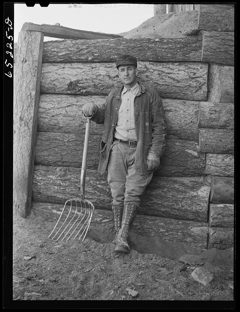 Flathead Valley special area project, Montana. Mr. Bailey, FSA (Farm Security Administration) borrower. Sourced from the…