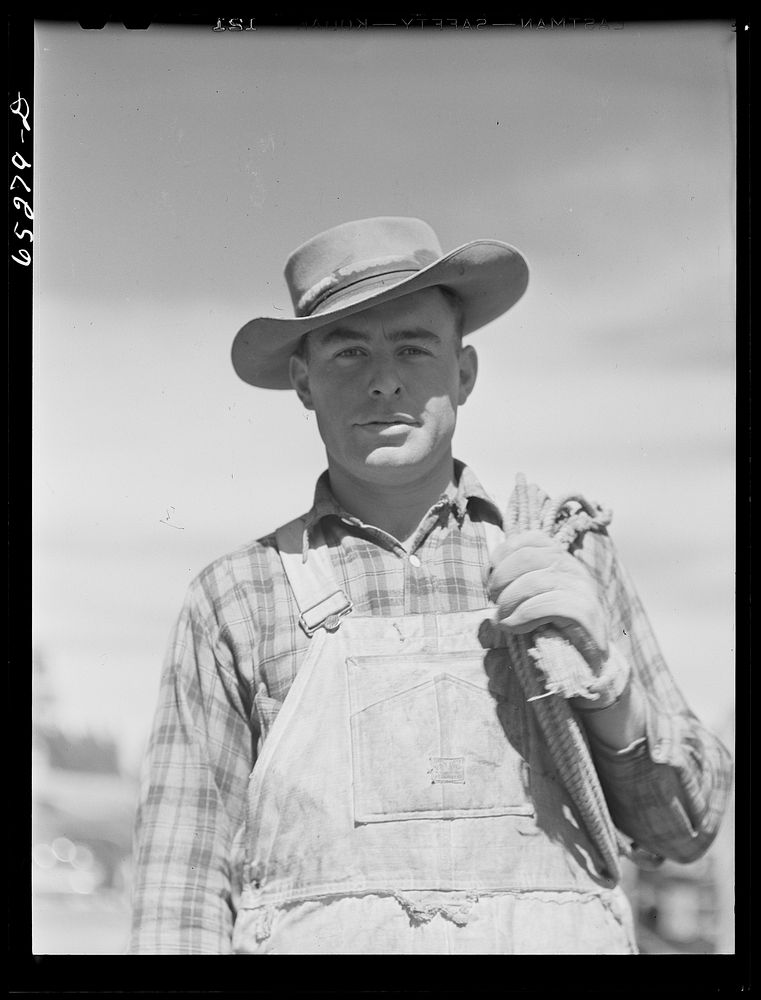 Bitterroot Valley, Ravalli County, Montana. Cowboy. Sourced from the Library of Congress.
