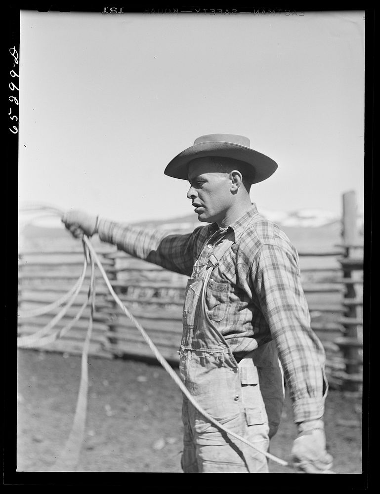 [Untitled photo, possibly related to: Bitterroot Valley, Ravalli County, Montana. Cowboy]. Sourced from the Library of…
