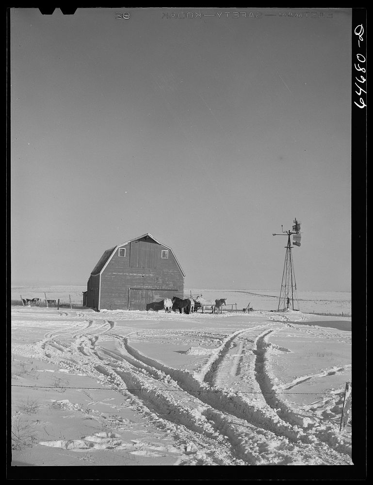 Hettinger County, North Dakota. Farmyard. Free Photo rawpixel