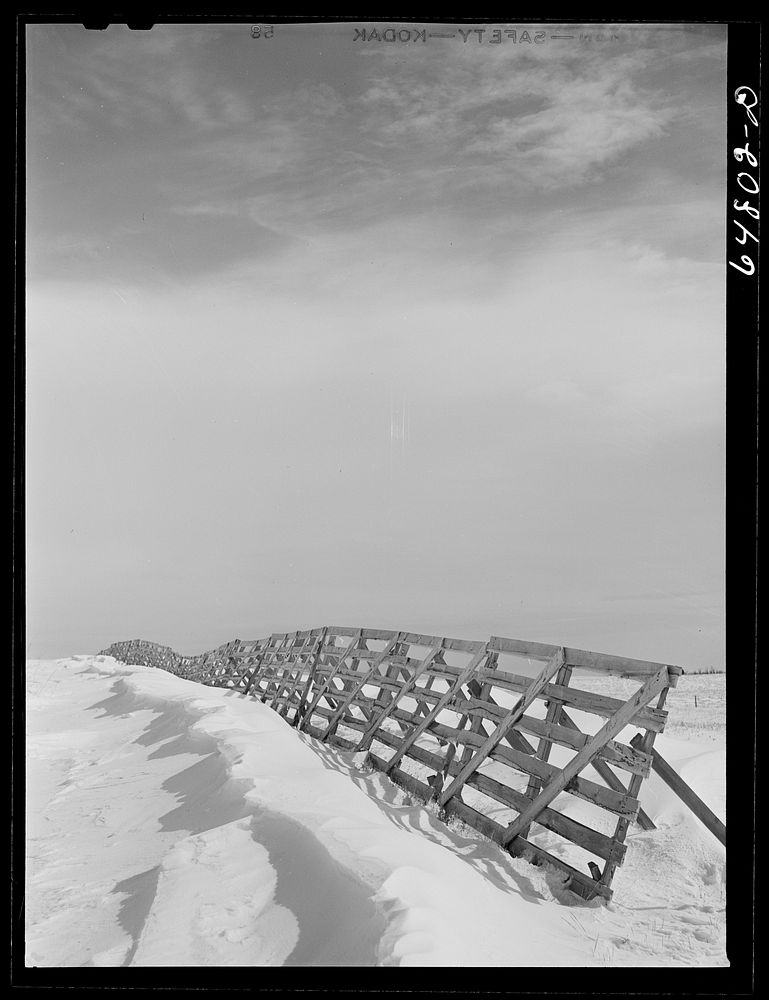 Divide County, North Dakota. Snow fence. Sourced from the Library of Congress.