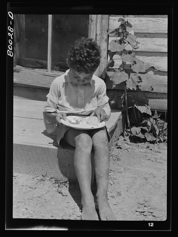 [Untitled photo, possibly related to: John Fredrick's son eating his lunch in the sun. Charles County, Maryland, near La…