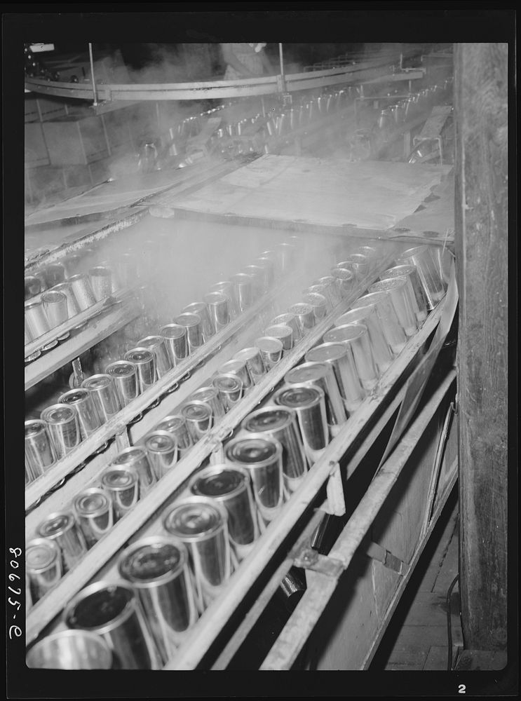 Cans are sterilized in steam before filling and sealing. Phillips Packing Company, Cambridge, Maryland. Sourced from the…