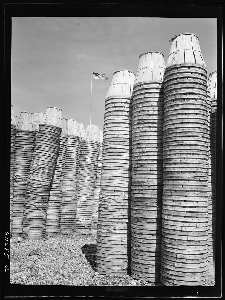 Empty baskets are stored in the yard of the plant until returned to grower. Phillips Packing Company, Cambridge, Maryland.…