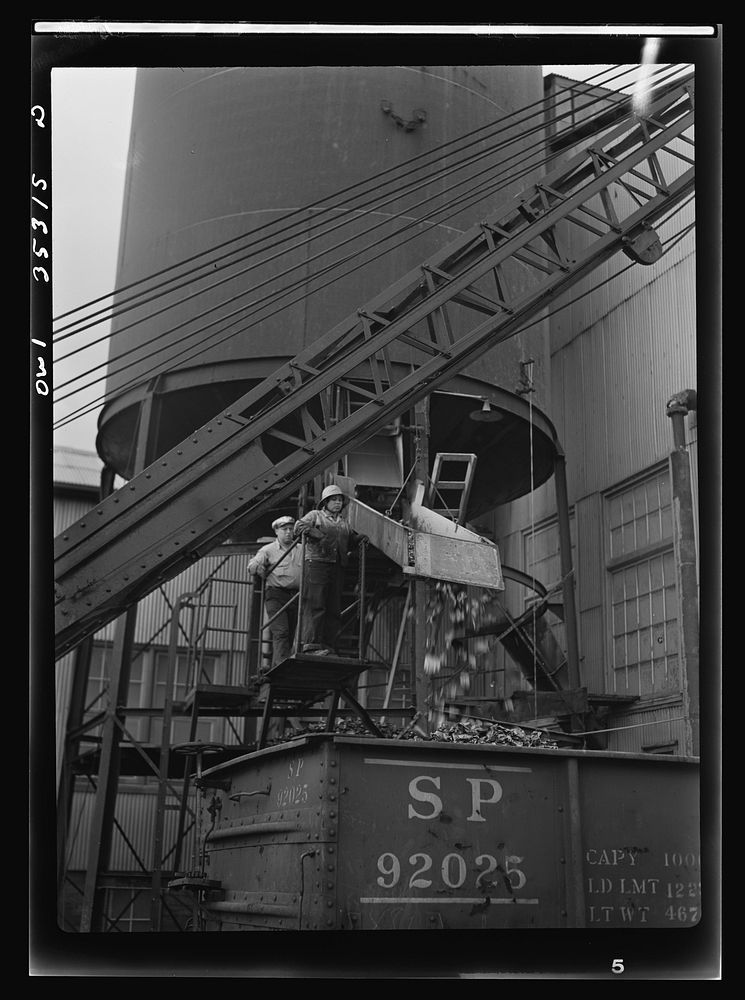 San Francisco, California. A woman operating the slide which releases detinned cans at the metal and thermite company for…