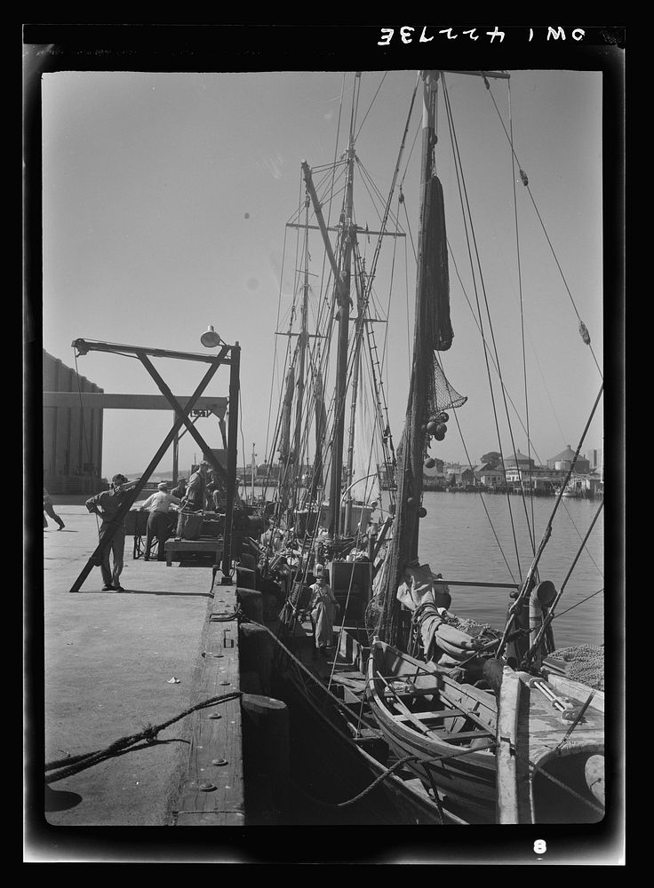 Gloucester, Massachusetts. At the docks crew members prepare their trawlers for a week's voyage. Most of the fishermen in…