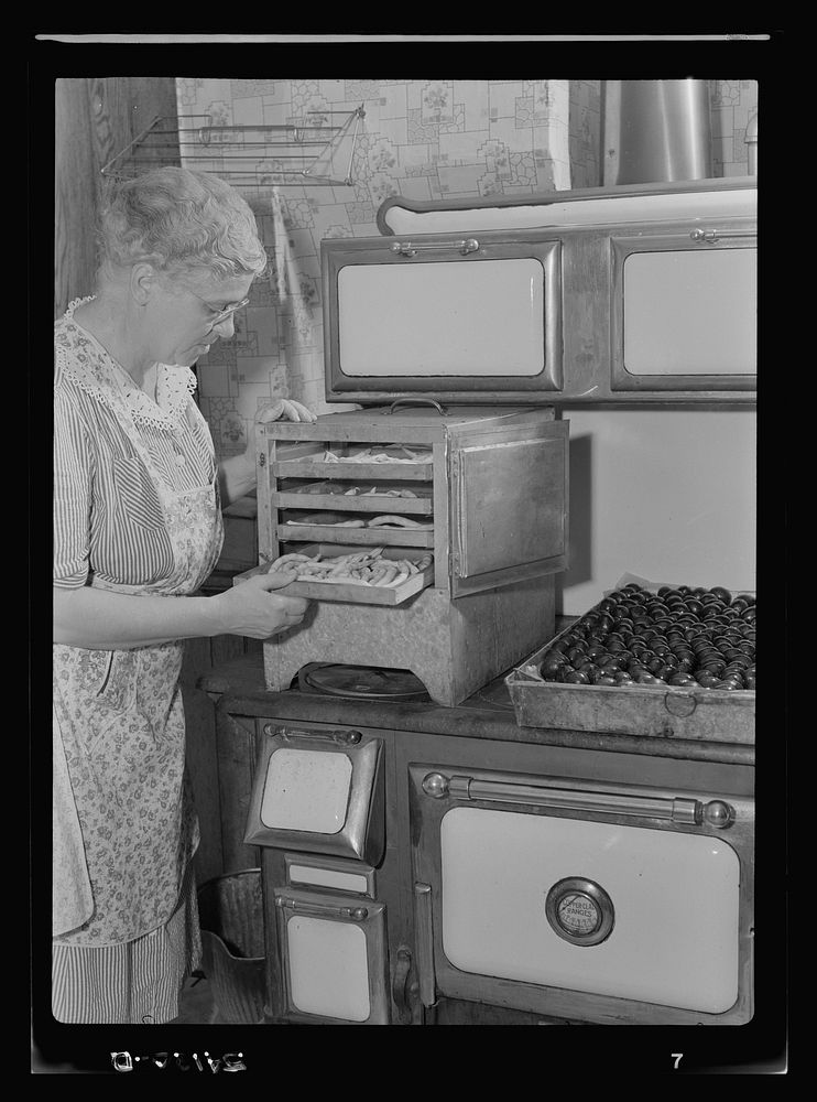 Mrs. Frank Rogers looking at a tray of blanched beans on the dryer on top of a range. The beans will dehydrate in the dryer.…