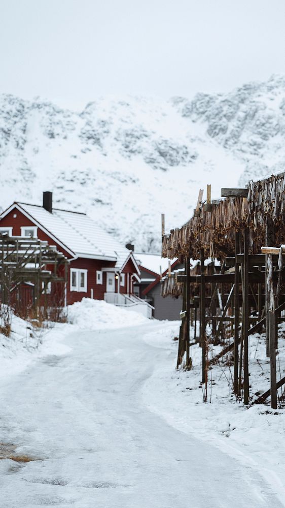 Winter phone wallpaper background, cod fish drying on a scaffold in Lofoten, Norway