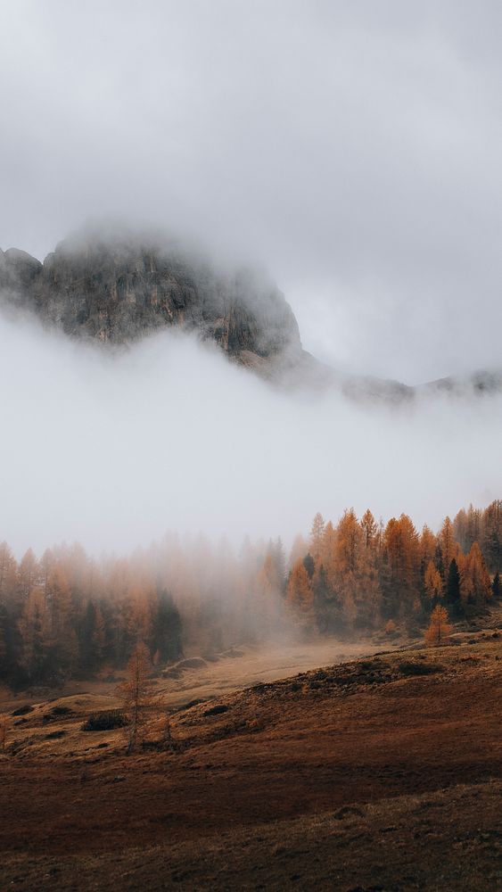 Nature phone wallpaper background, misty Dolomites valley