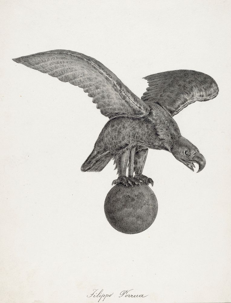 Eagle (1935/1942) by Filippo Porreca. Original from The National Gallery of Art. Digitally enhanced by rawpixel.