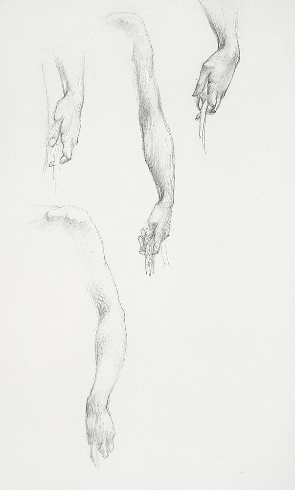 Studies of Arms and Hands (1833&ndash;1898) drawing in high resolution by Sir Edward Burne&ndash;Jones. Original from Los…