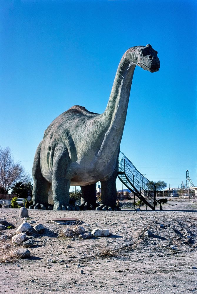 Prehistoric Museum, Cabazon, California (1977) photography in high resolution by John Margolies. Original from the Library…