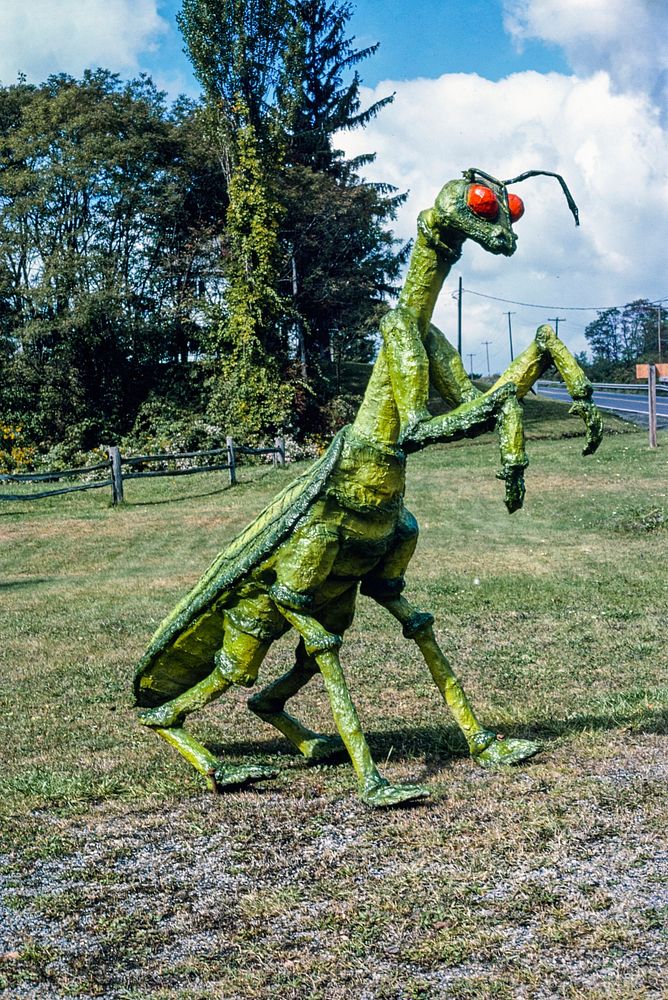 Praying Mantis statue at Second Time Around, Route 30, Boswell, Pennsylvania (1984) photography in high resolution by John…