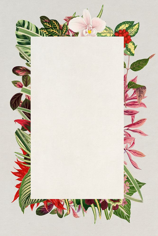 Aesthetic flower frame, floral illustration psd