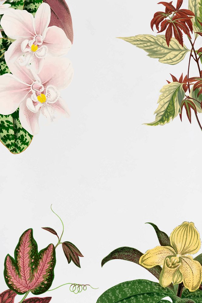 Aesthetic flower frame, floral illustration vector