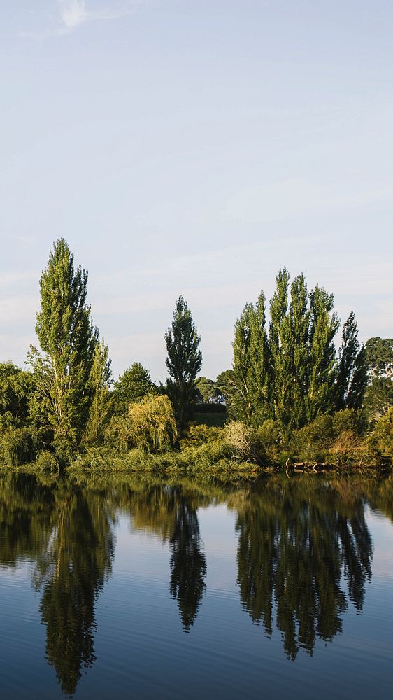 Nature phone wallpaper background, green trees by a lake