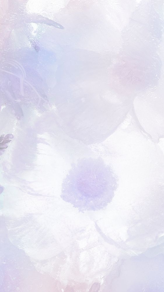 Flower phone wallpaper background, purple blooming anemone