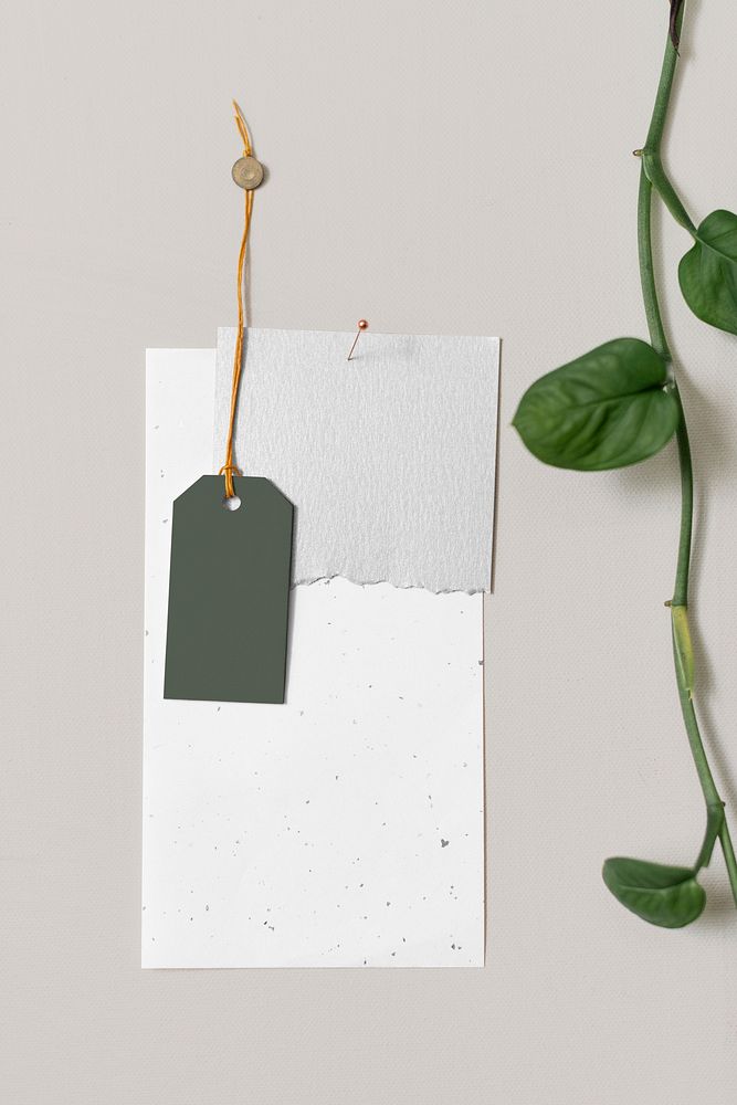 Pinned paper tag, blank notes with houseplant leaves