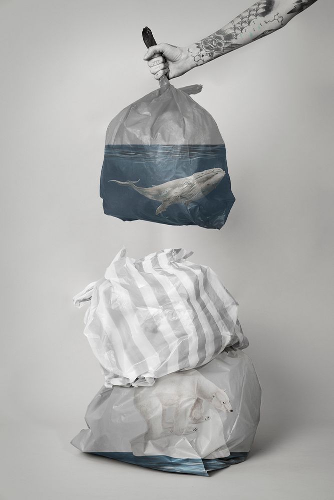 Ocean pollution single-use plastic reduction campaign media remix