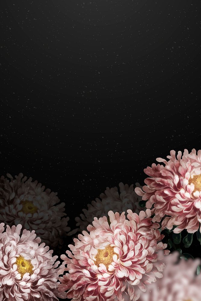 Aster border vector dramatic flower background