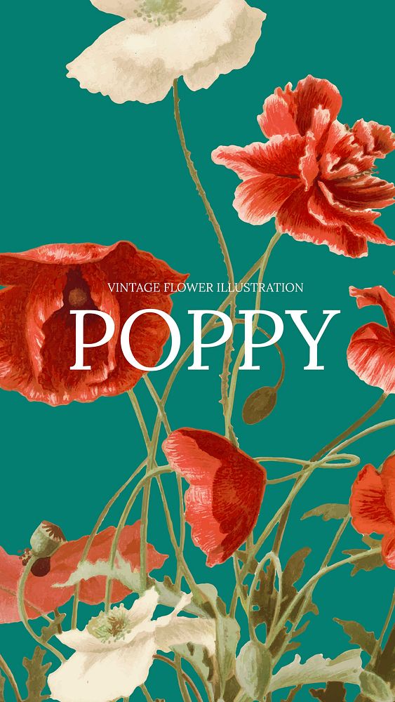 Vintage floral template vector with poppy background, remixed from public domain artworks