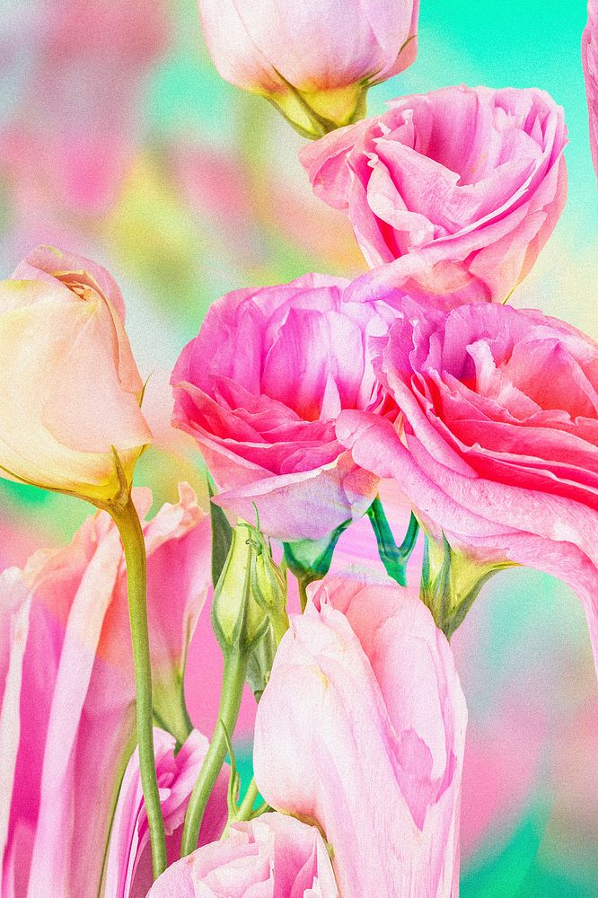 Floral background wallpaper, pink rose psychedelic art