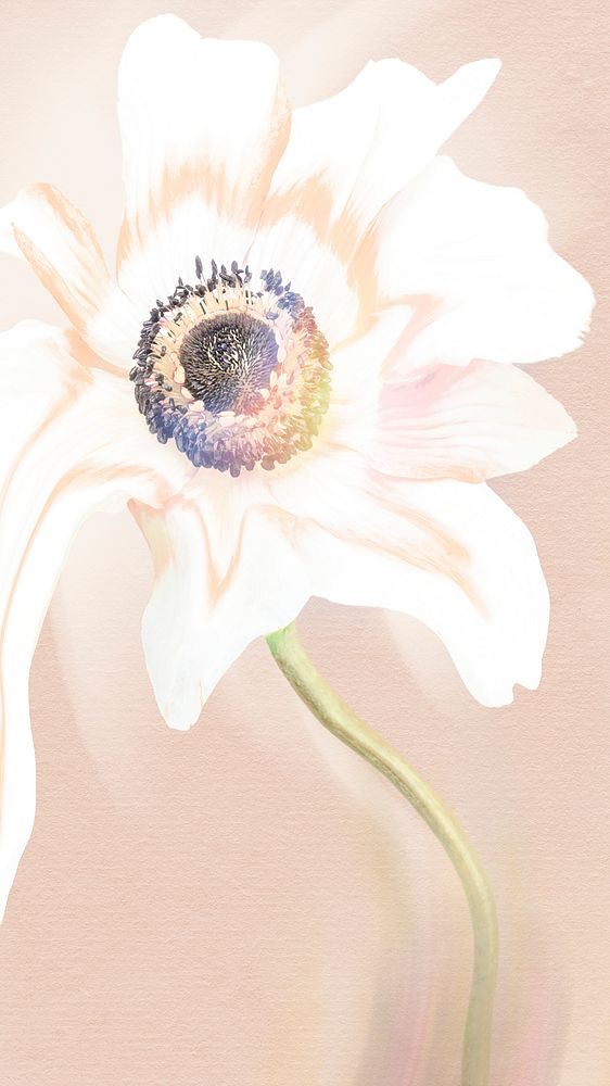 Flower background, pink and white anemone psychedelic art