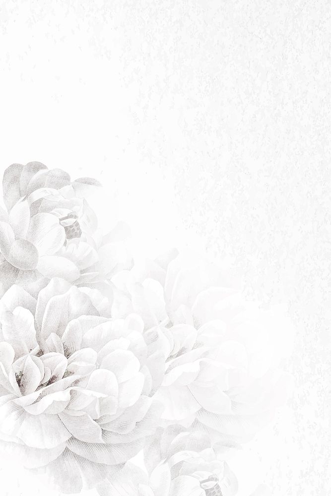 Flower background white border vector, remixed from vintage public domain images
