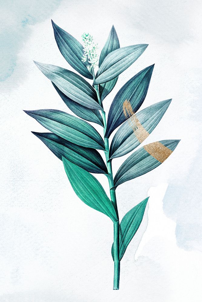 Leaf watercolor illustration psd, remixed from vintage public domain images