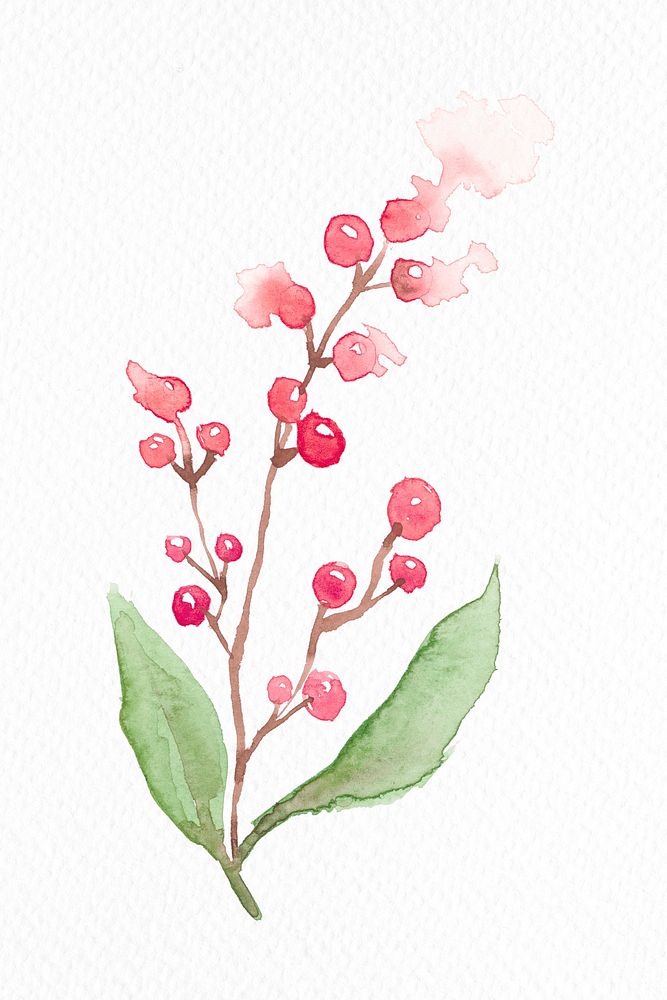 Winter redberry plant watercolor psd in redseasonal graphic
