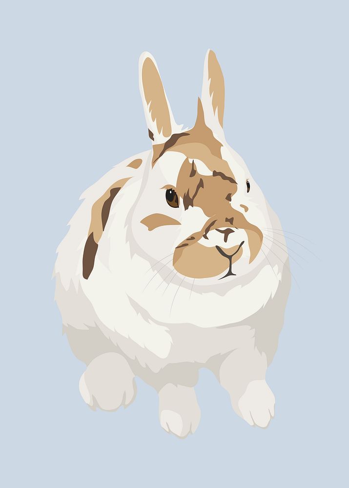 Pet bunny, spotted rabbit illustration vector 