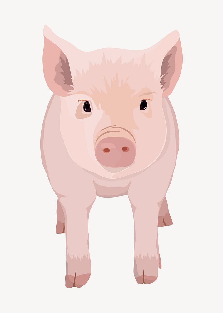 Piglet illustration, cute farm animal vector