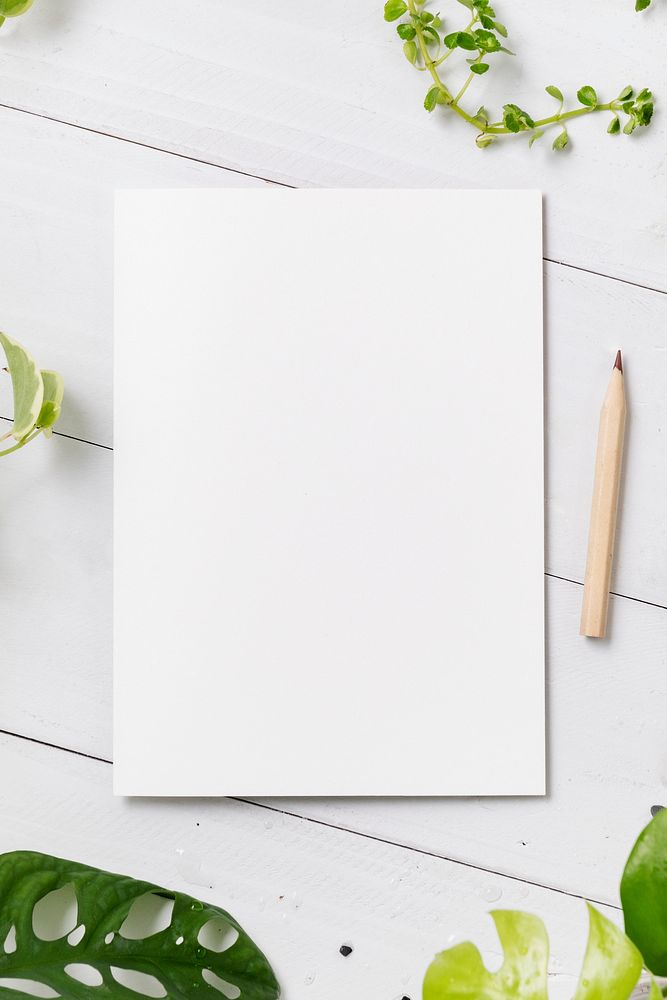 Blank white paper in houseplants background