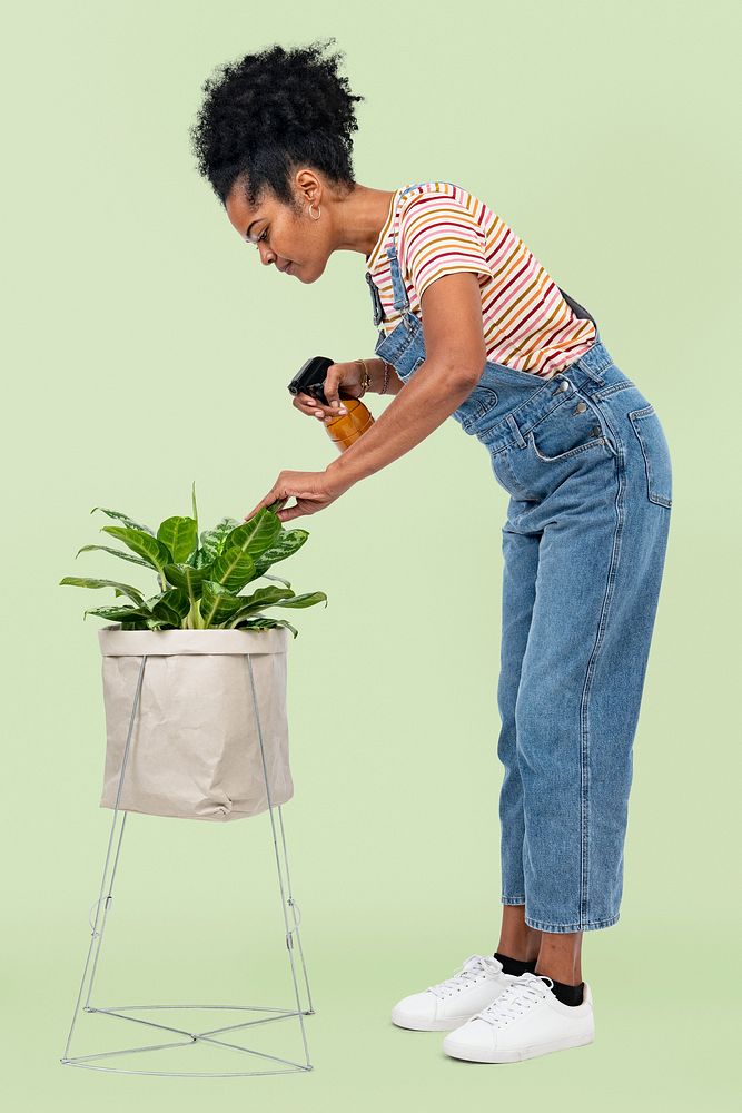 Woman misting a houseplant with a water spray