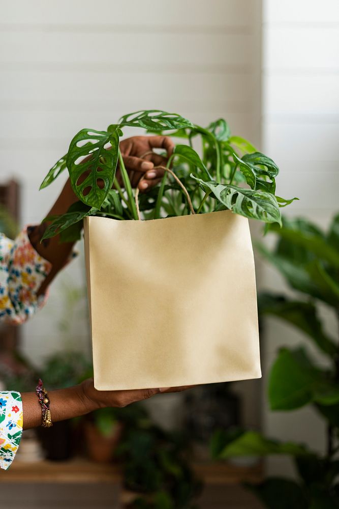 Plant shop business owner delivery packaging