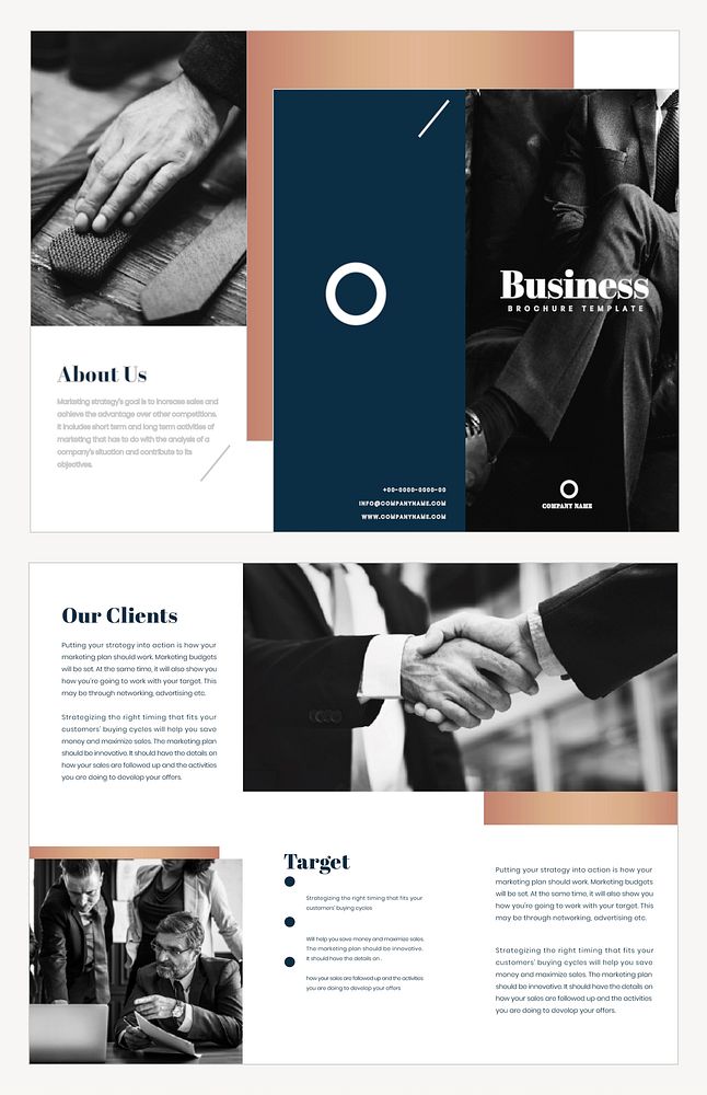 Business brochure template vector set
