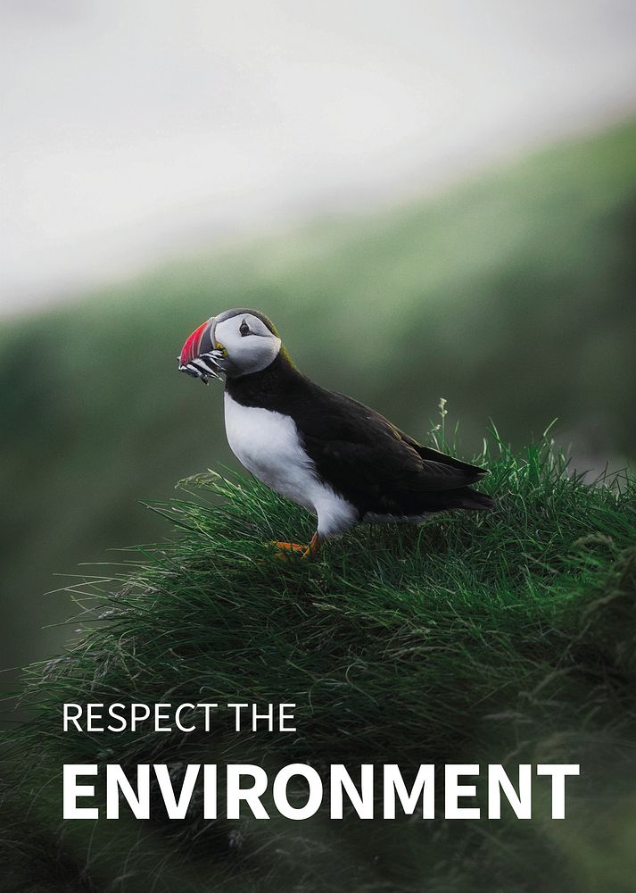 Respect the environment template psd with puffin in nature