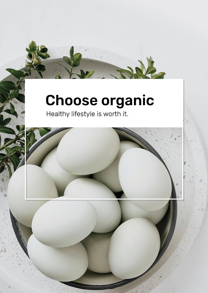 Organic food poster template vector