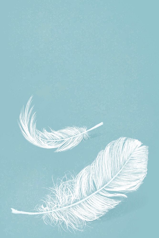 Hand drawn white feather vector on blue background