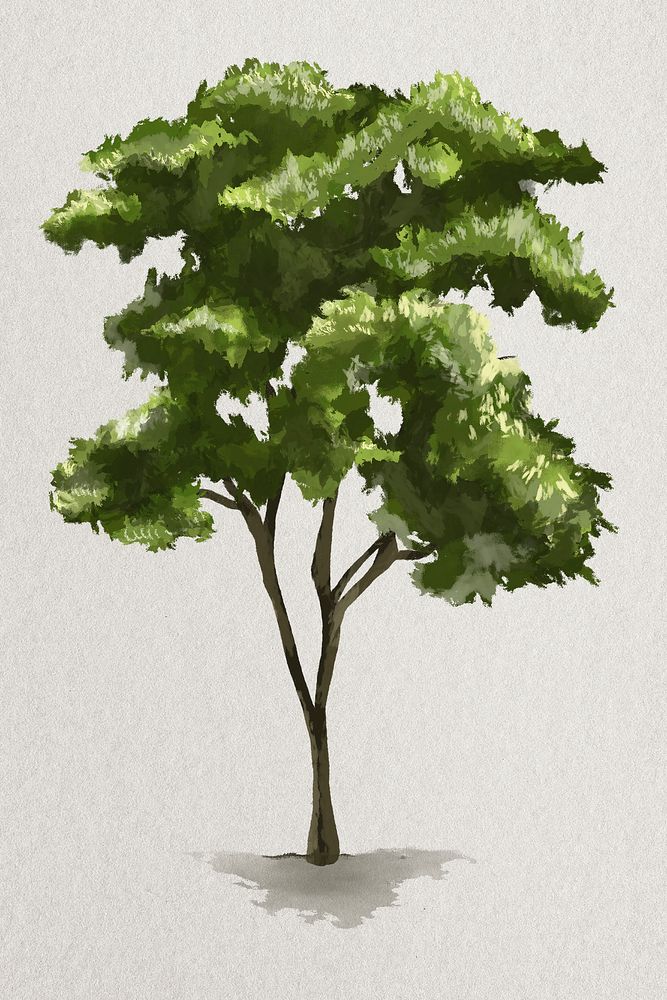 Tree element psd nature painting