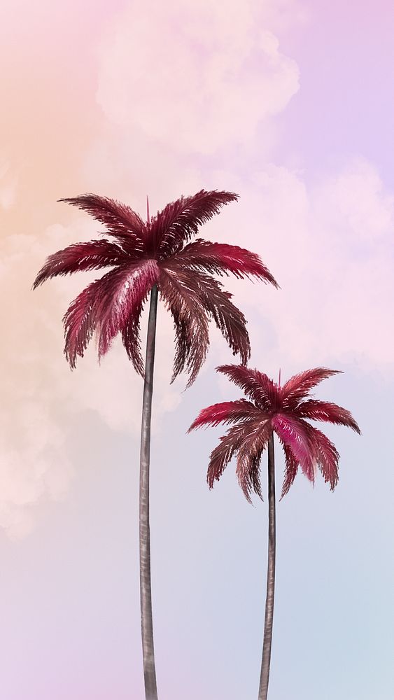 Aesthetic background with palm tree