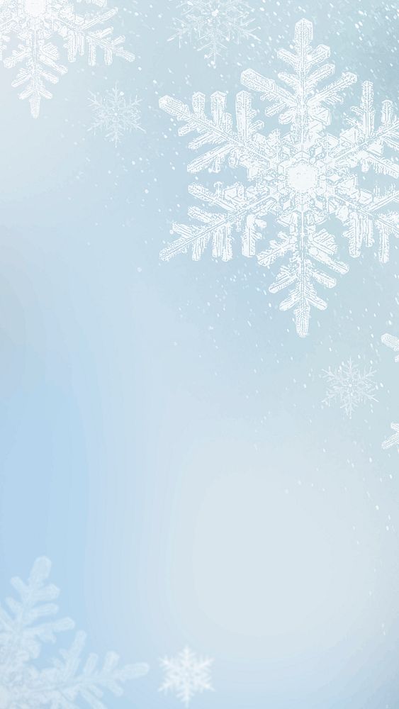 Snowflakes vector on winter background