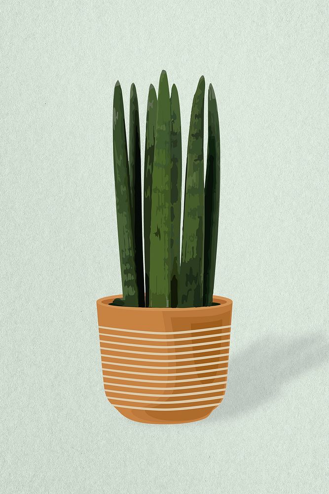 Potted plant psd image, snake plant potted home interior decoration