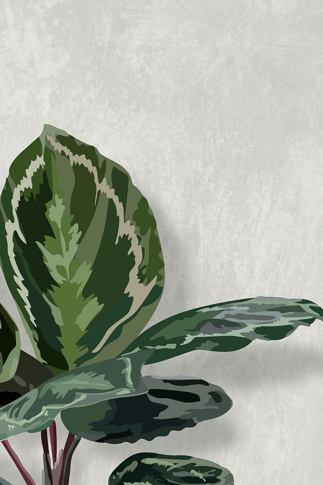 Leaf background wallpaper tropical vector, green Calathea medallion indoor plant