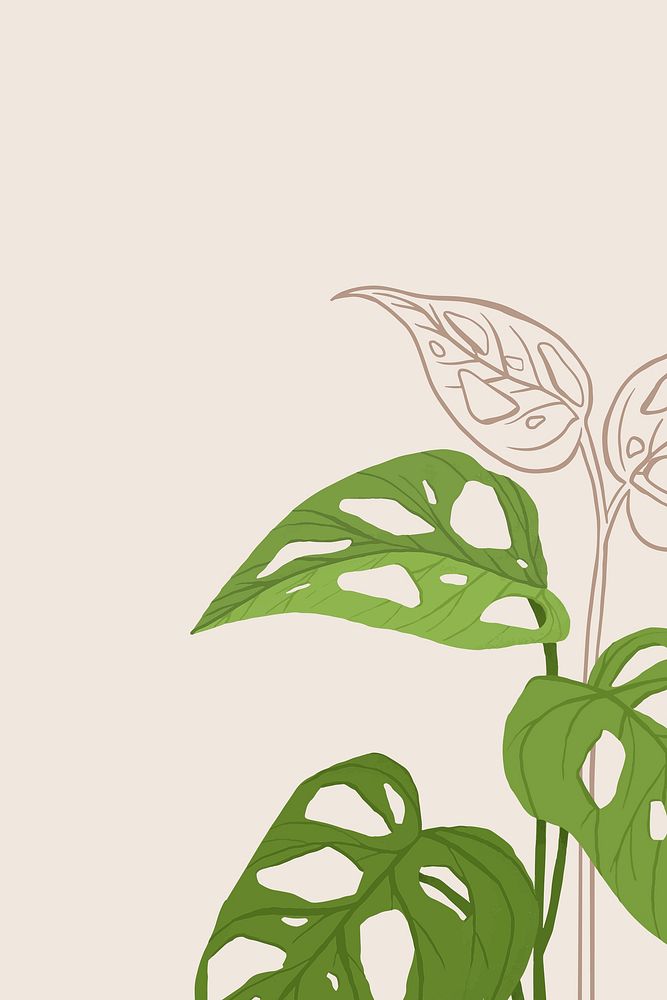 Tropical background vector monstera swiss cheese plant illustration