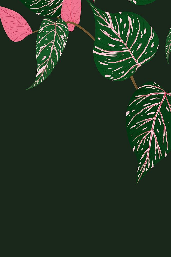 Background vector calathea houseplant illustration