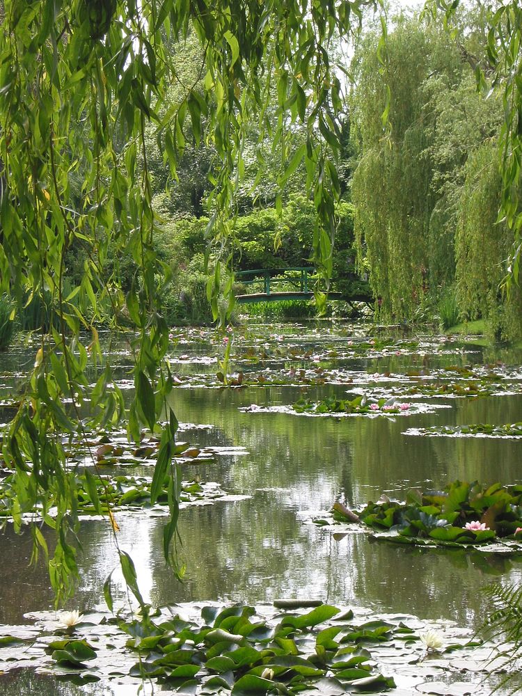 Monet's garden at Giverny. Original public domain image from Wikimedia Commons