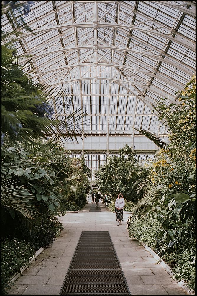 Woman visiting botanical greenhouse, London