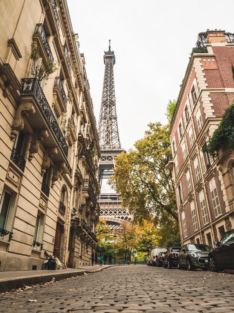 View of the Eiffel Tower from downtown Paris, France